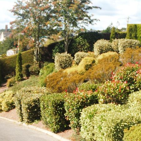 Blarney Vale B&B Exterior photo