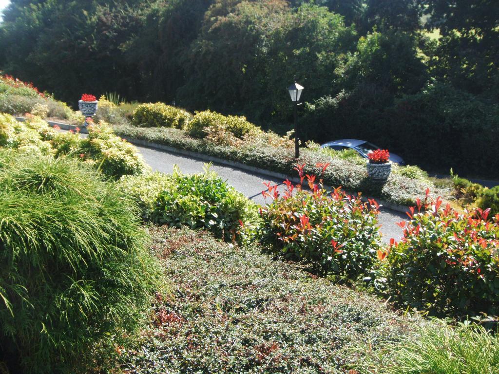 Blarney Vale B&B Room photo
