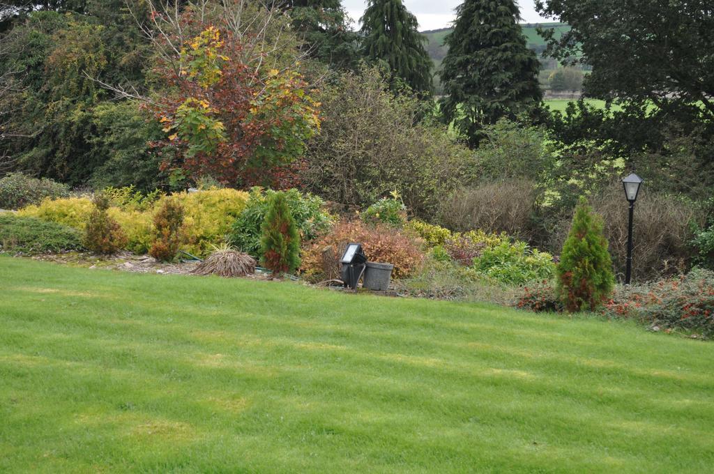 Blarney Vale B&B Room photo