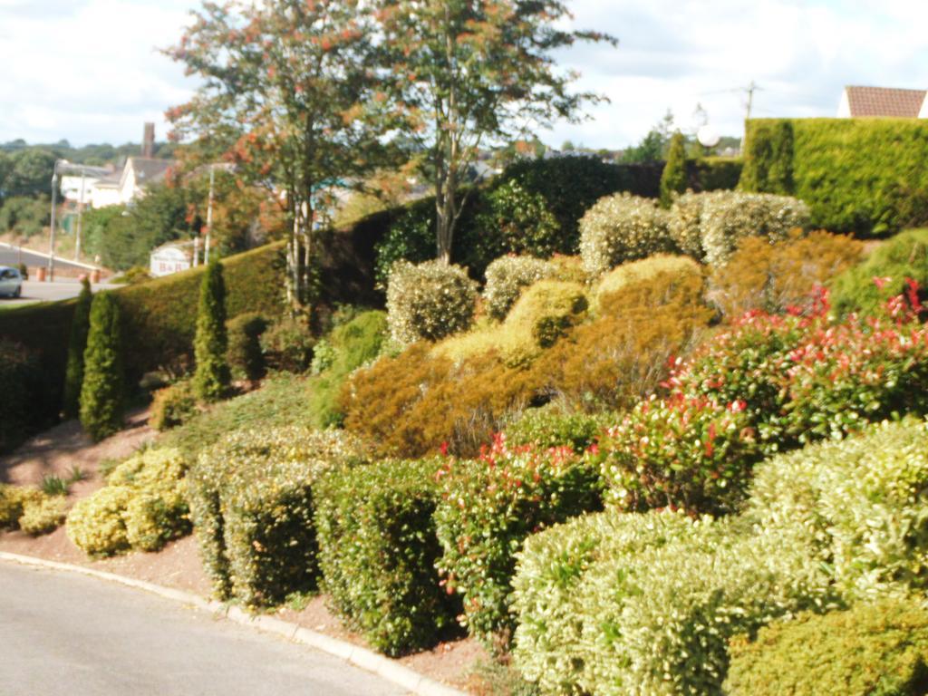 Blarney Vale B&B Exterior photo