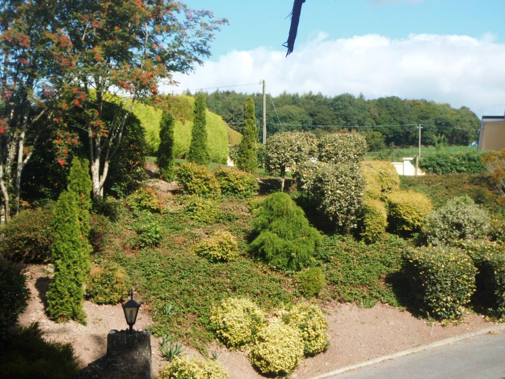 Blarney Vale B&B Exterior photo