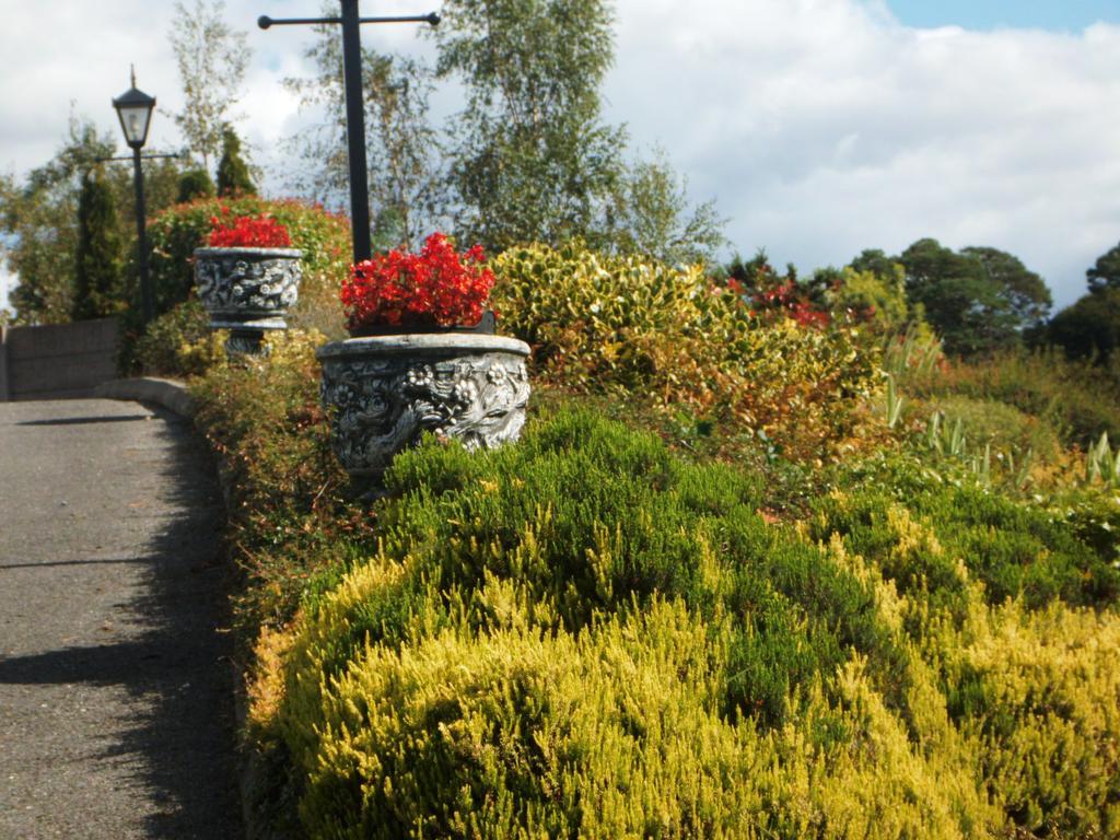 Blarney Vale B&B Exterior photo